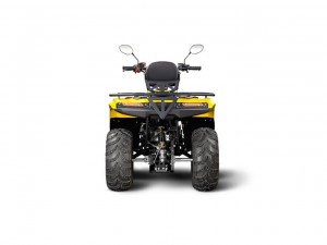 Квадроцикл IRBIS ATV 200 - фото 2