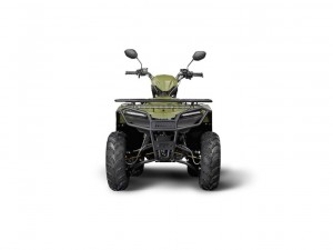 Квадроцикл IRBIS ATV 250 - фото 2